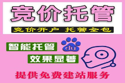 百度竞价托管公司成功案例揭秘：策略决定成败